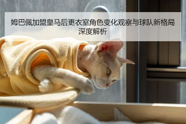 姆巴佩加盟皇马后更衣室角色变化观察与球队新格局深度解析