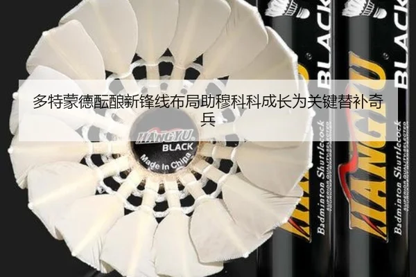 多特蒙德酝酿新锋线布局助穆科科成长为关键替补奇兵